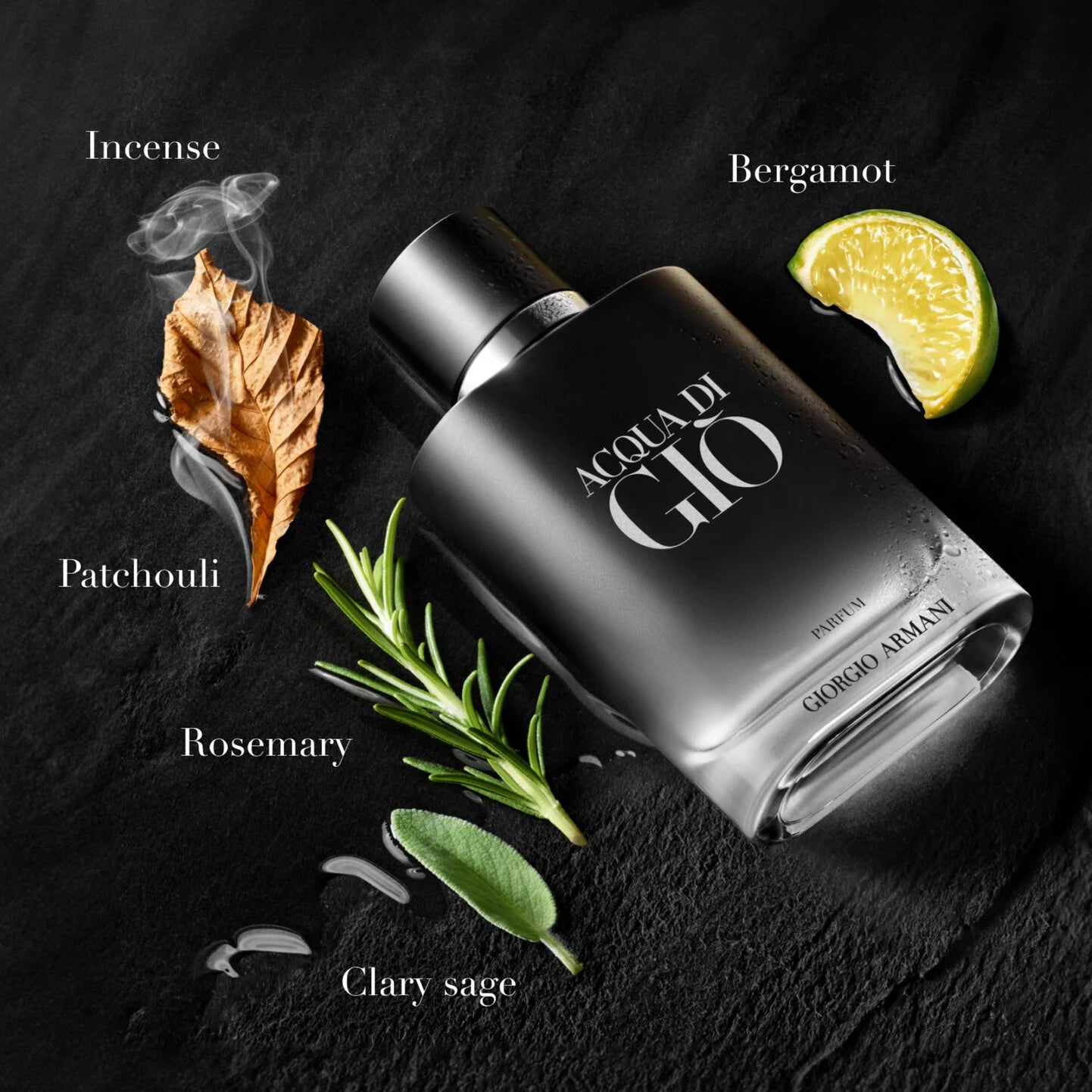 Acqua di Giò Parfum 100ml
