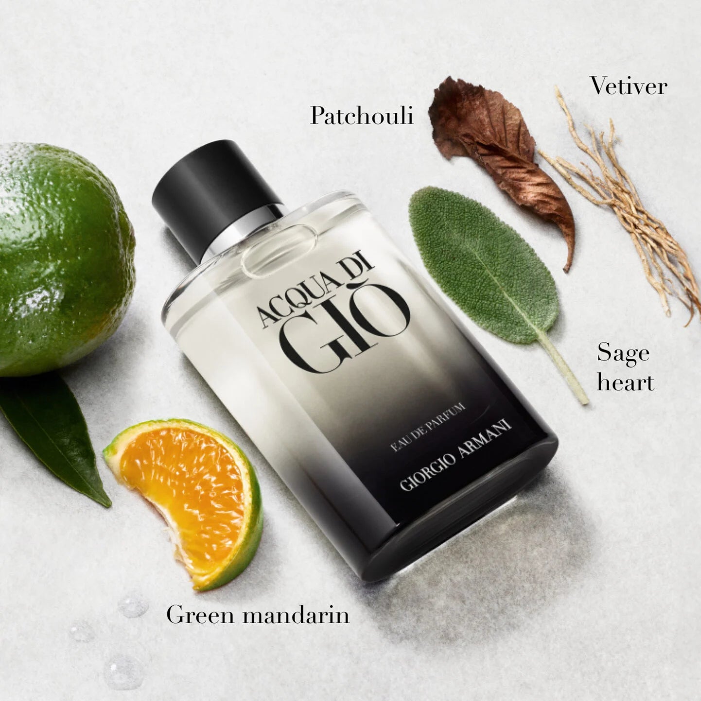 Acqua di Giò Eau de Parfum 100ml
