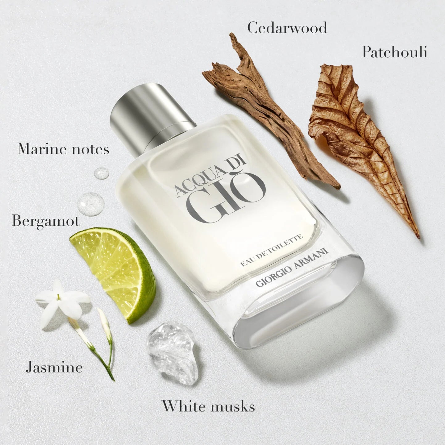 Acqua Di Giò Eau de Toilette 100ml