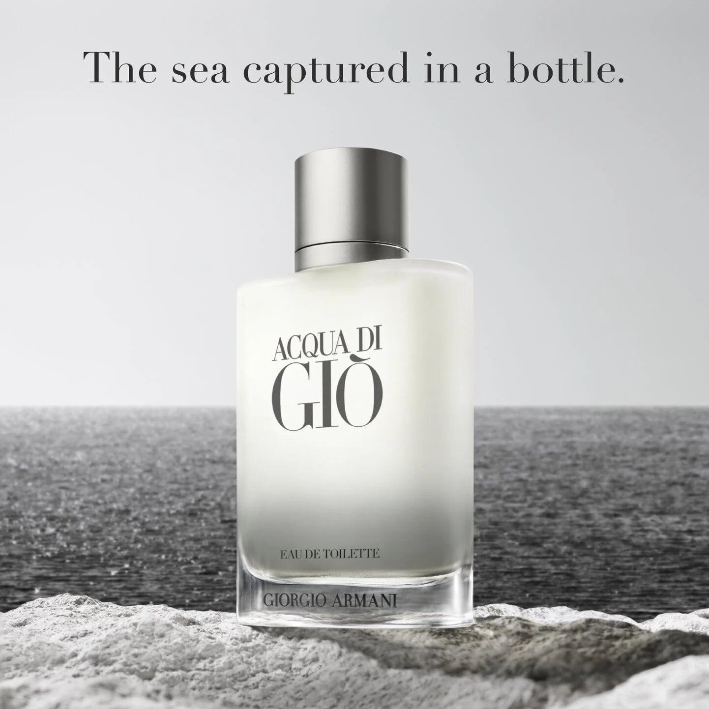 Acqua Di Giò Eau de Toilette 100ml