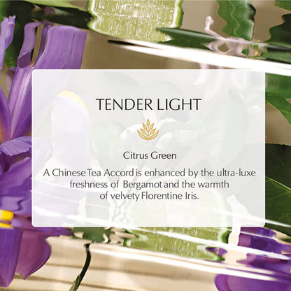 ESTEE LAUDER Tender Light EDP 100ml